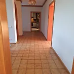 Apartment Im Paradies Der Suedoststeiermark Im Thermen- Und Vulkanland Steiermark Raabau