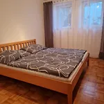Apartment Im Paradies Der Suedoststeiermark Im Thermen- Und Vulkanland Steiermark